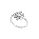 Ring.webp