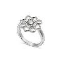 Ring.webp