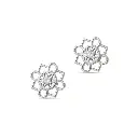 Erring.webp