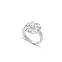 ring.webp