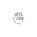 Ring.webp