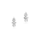 Earring.webp