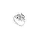 Ring.webp