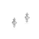 Earring.webp