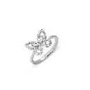Ring.webp