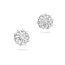 Earring.webp
