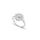 Ring.webp