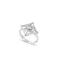 Ring.webp