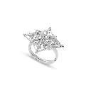Ring.webp