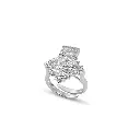 Ring.webp