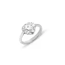 Ring.webp