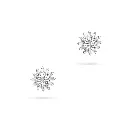 Earring.webp