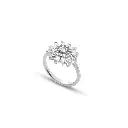 Ring.webp