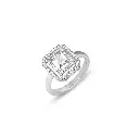 Ring.webp