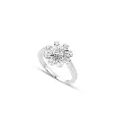 ring.webp