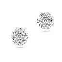 Earring.webp