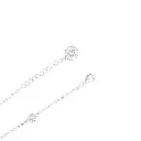5.webp