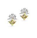 Women Earring