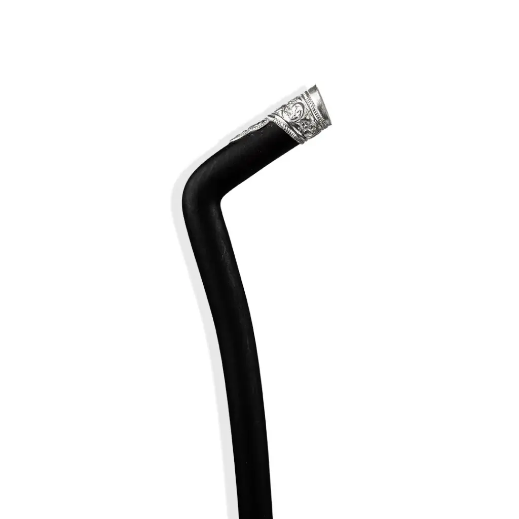 Walking Stick