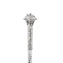 Walking Stick