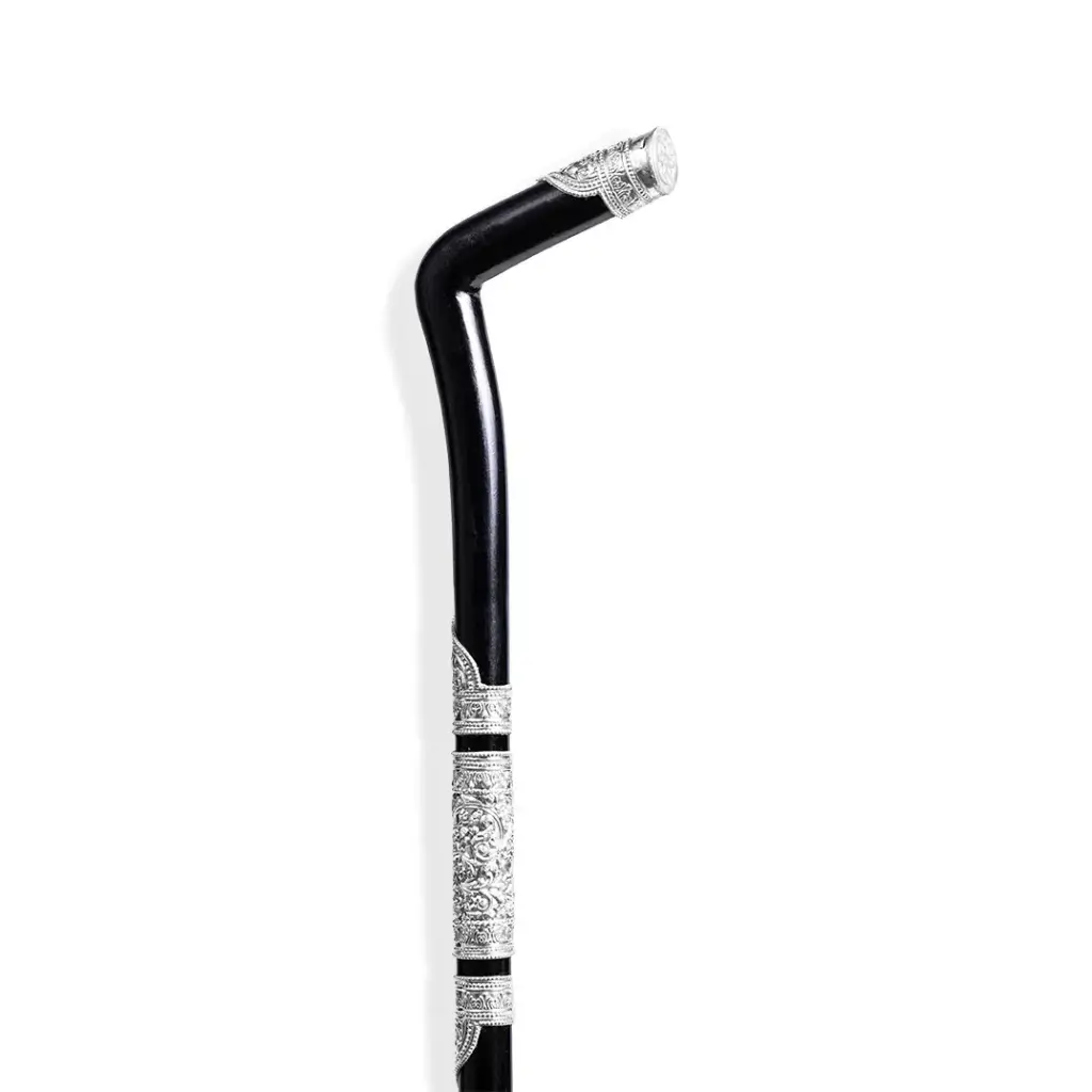 Walking Stick
