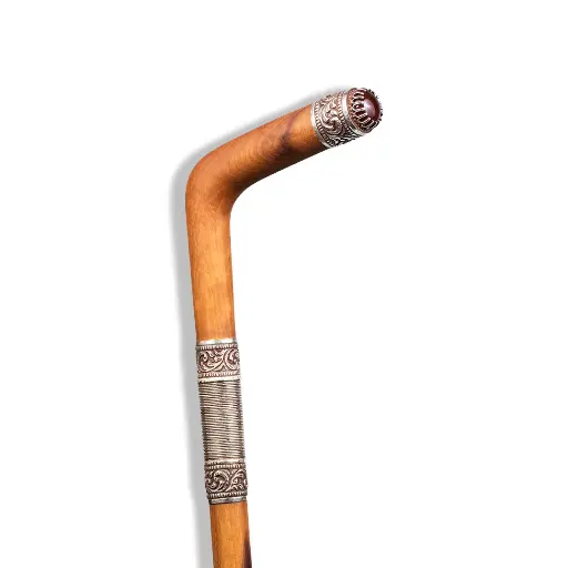 [H05167] Walking Stick