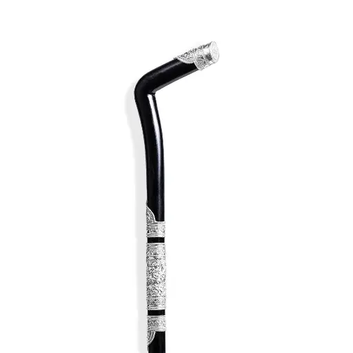 Walking Stick