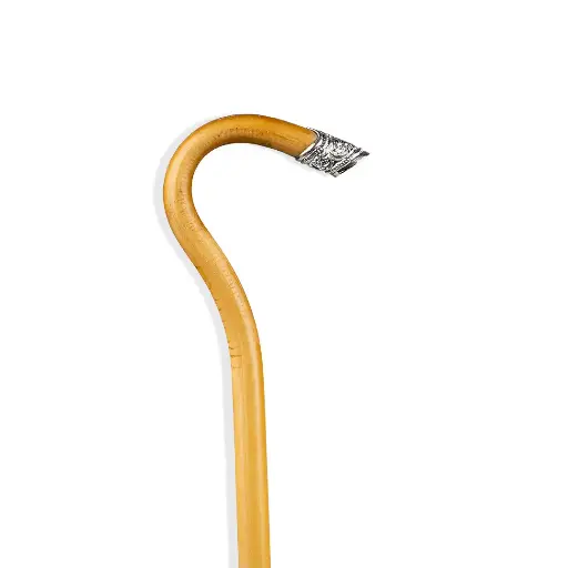 [H05648] Walking Stick