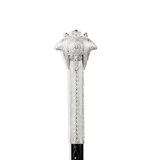 Walking Stick