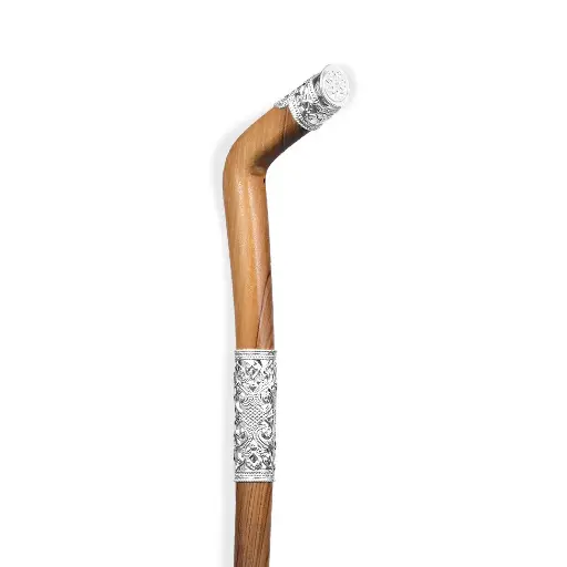 Walking Stick