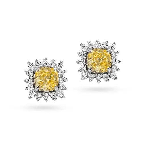 Women Earring